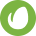 envato